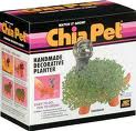 Chia Pet Dinosaur
